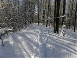 Stara Vrhnika - Koča na Planini nad Vrhniko